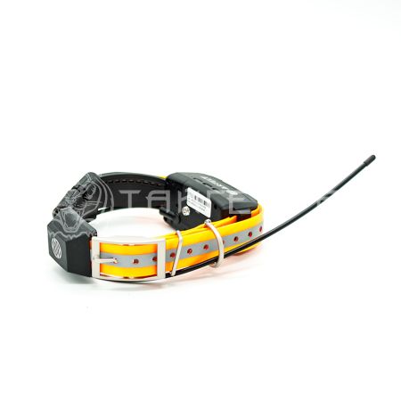 GPS-ошейник Artelv Collar