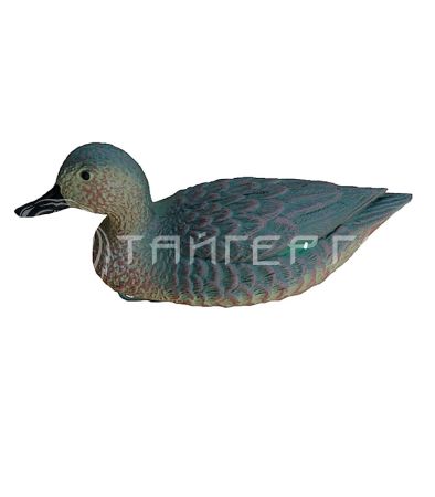 Чучело чирок плавающий (утка) 7355
