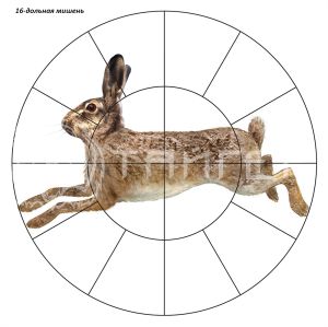 Мишень "Русак" 16-ти дольная 16д Р