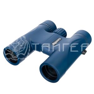 Бинокль Levenhuk Discovery Elbrus 10x25