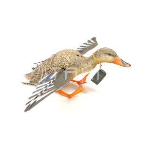 Муляж утки Sport Plast SFLD 02 MG  кряква машущий крыльями с мотором 