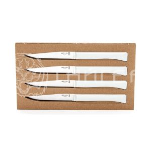 Набор кухонный ножей Opinel 001904 полимерная рукоять, нержавеющая сталь