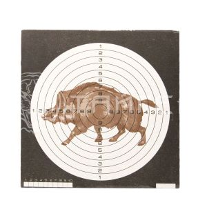 Мишень для пневматики 25м цветн. "КАБАН" (50 шт/уп) (140х140) 25ЦВК