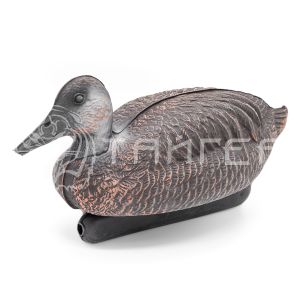 Чучело ШИЛОХВОСТЬ утка (ПЛАСТИК)