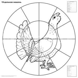 Мишень для пристр. дробовых ружей (16-дольная) (100 шт/уп) 16д (глухарь)