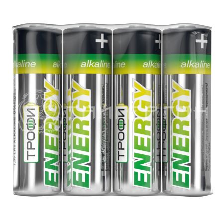 Батарейка ТРОФИ/ENERGY POWER Alkaline LR6/4S/336/  1-086 (4)