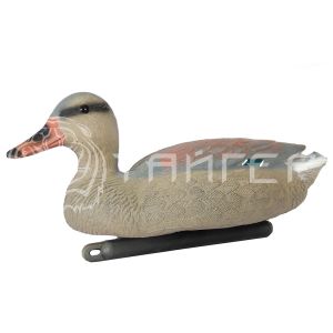 Чучело кряква плавающая большая (утка) 7915